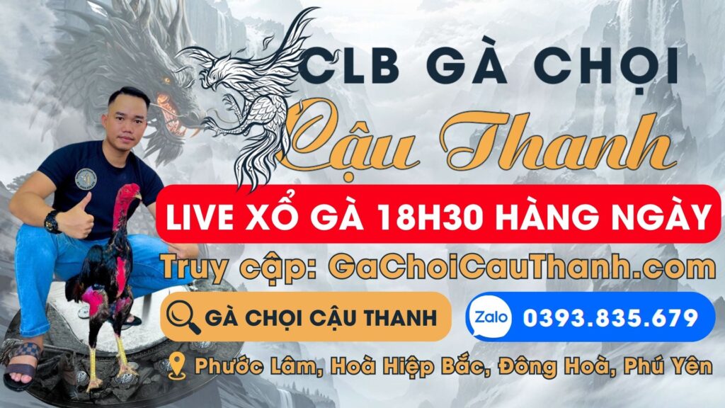 Video Xổ Gà Tối 5/8 – CLB Gà Chọi Cậu Thanh